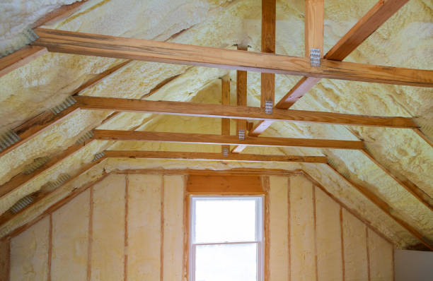 Best Insulation Installation Services in Cheval, FL