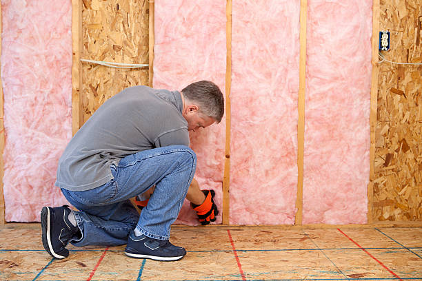 Best Commercial Insulation in Cheval, FL