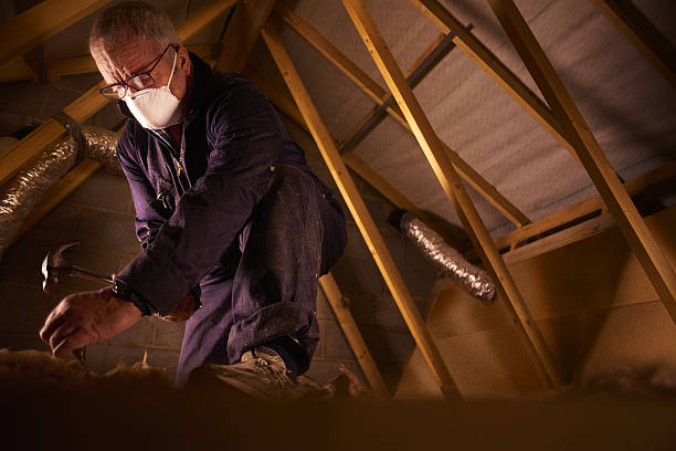 Best Specialty Insulation in Cheval, FL