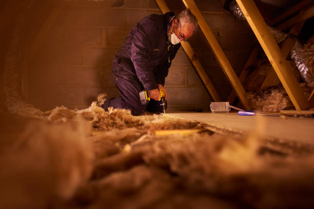 Best Residential Insulation in Cheval, FL